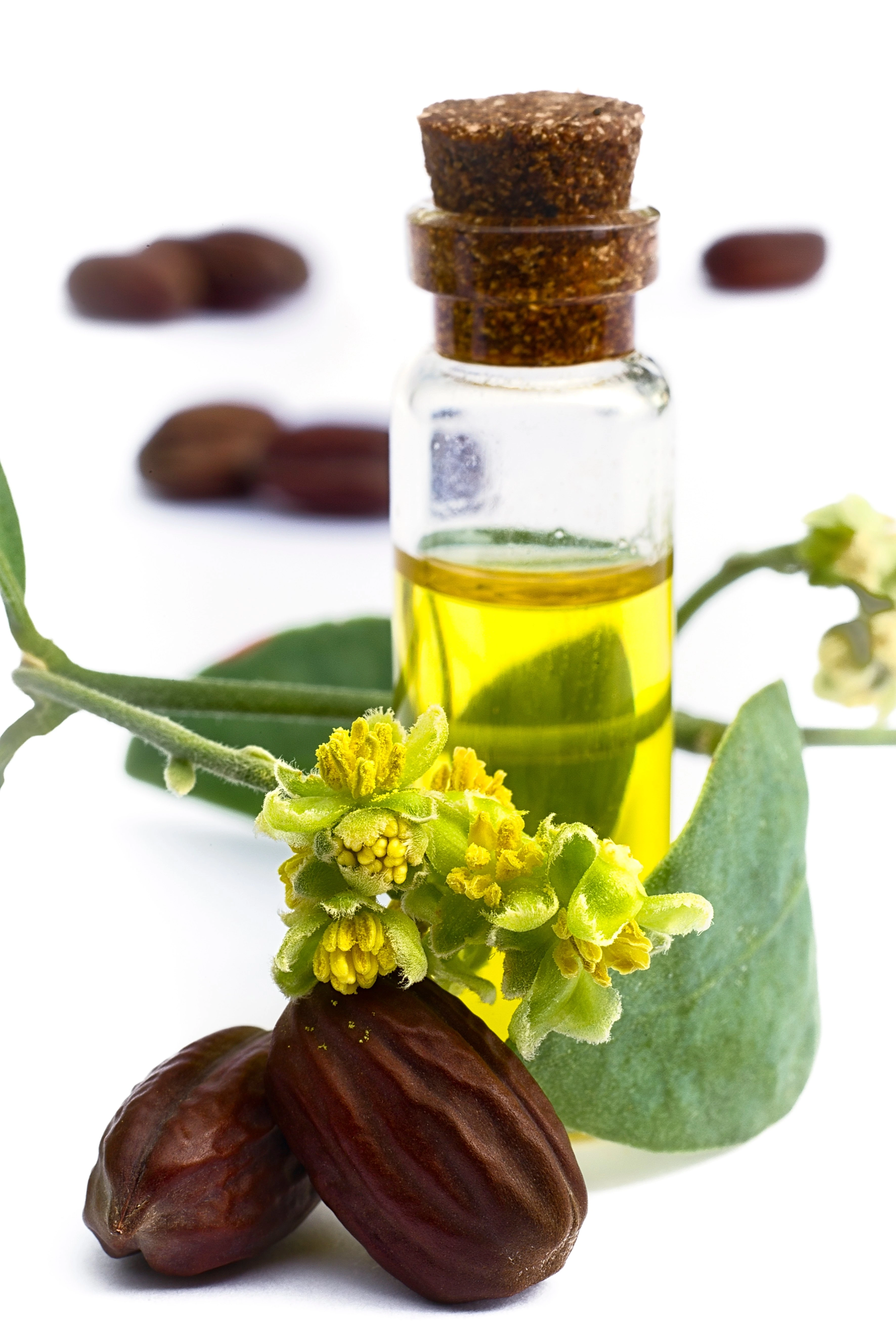 Jojoba Oil Image